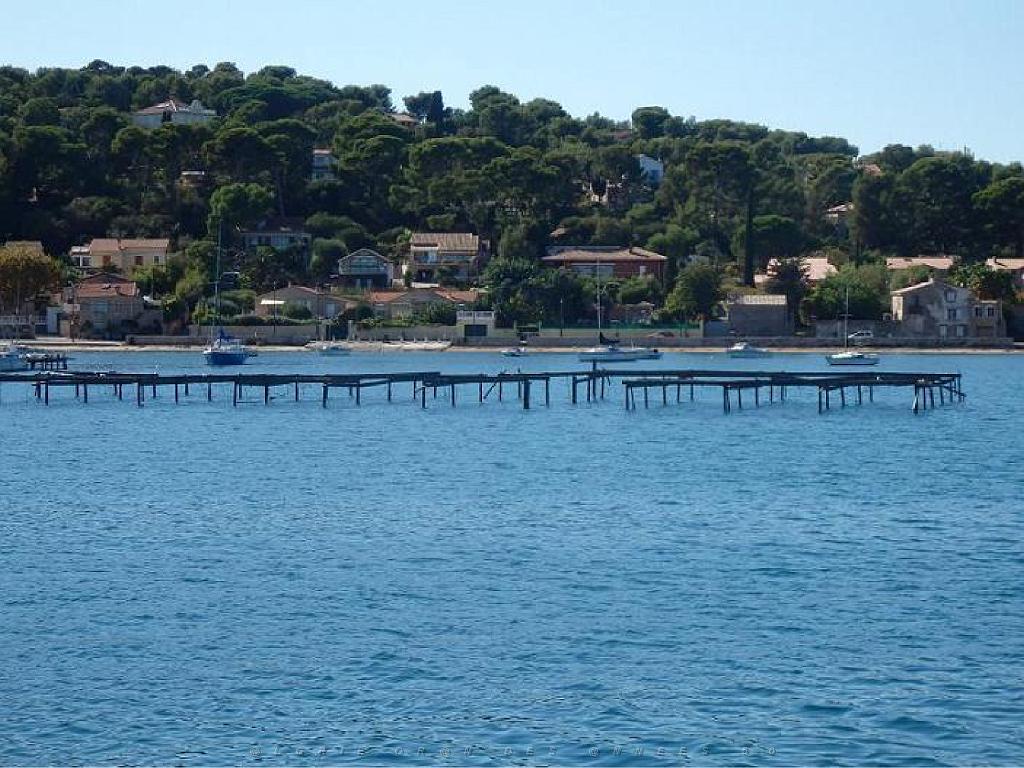 183 TOULON ET SA RADE (100).jpg